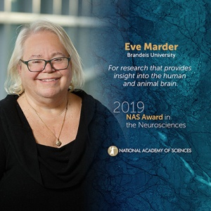 Eve Marder NAS award